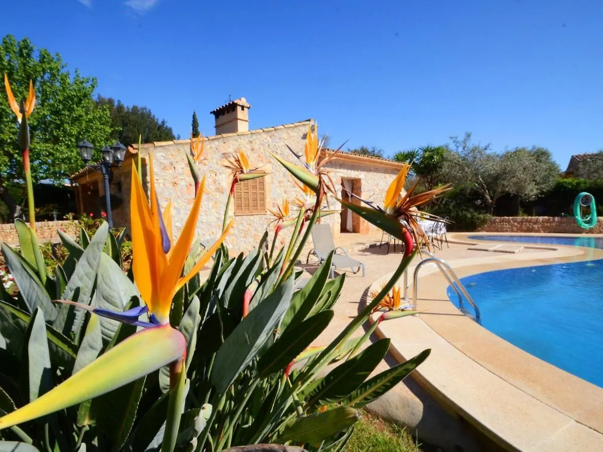 Can Rovey, Pool And Gardens In Inca Vila